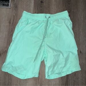 8inch Swim trunks